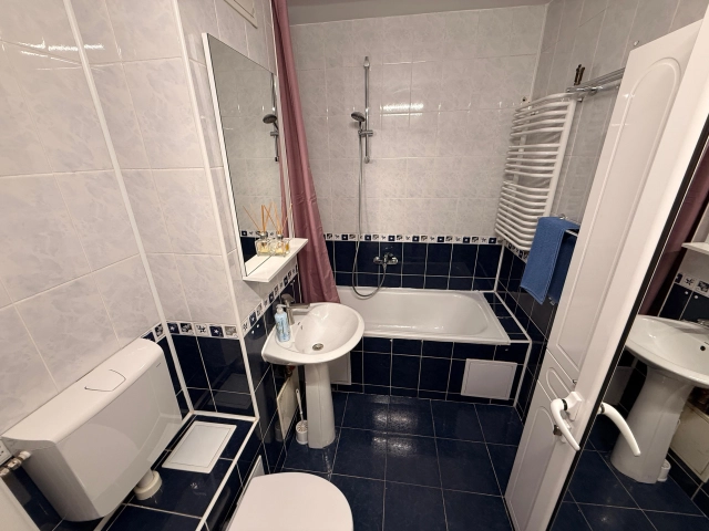 Apartament 4 camere - Pacurari