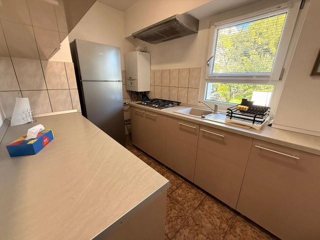 Apartament 4 camere - Pacurari