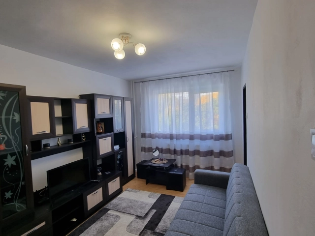 Apartament 1 camere - Pacurari